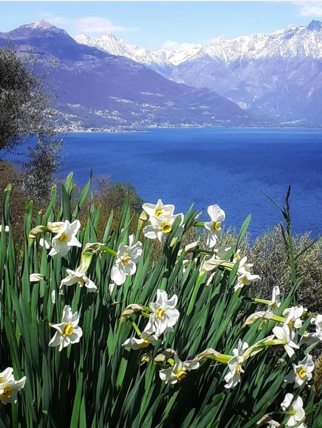 Balcony On Lake Pianello Pianello Del Lario Exterior foto